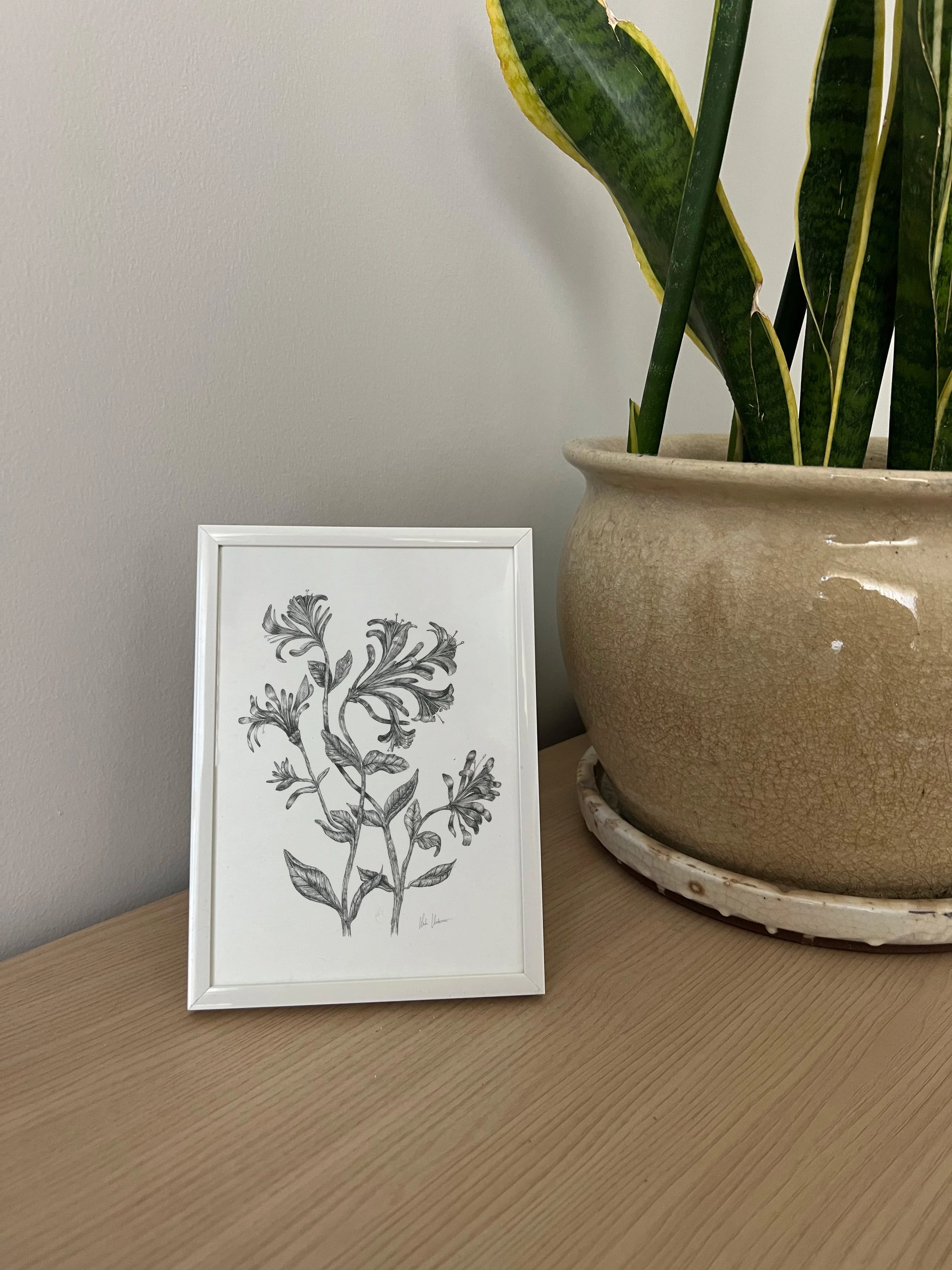 Shop — hutch atelier